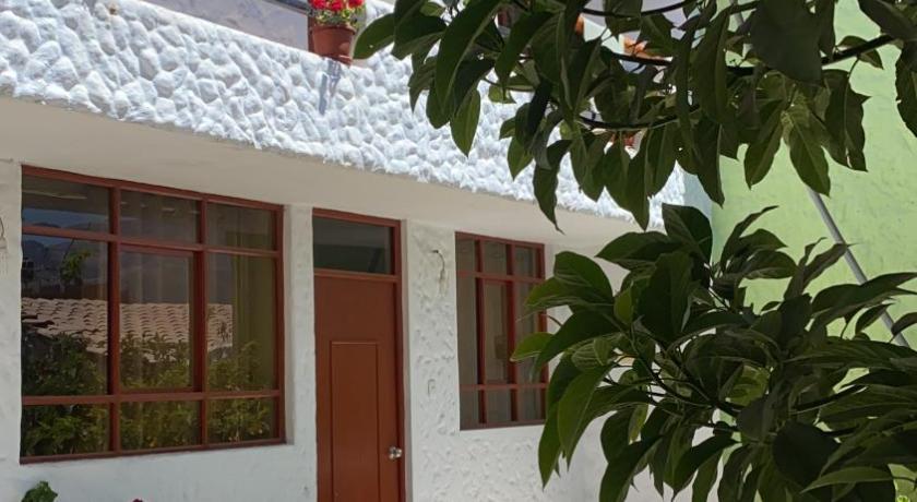 Las Palmeras Eco Hostel photo