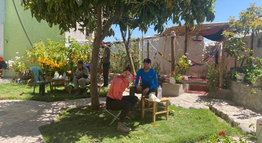 Las Palmeras Eco Hostel photo