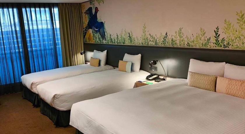 豪華家庭房 (Deluxe Family Room)圖片 6