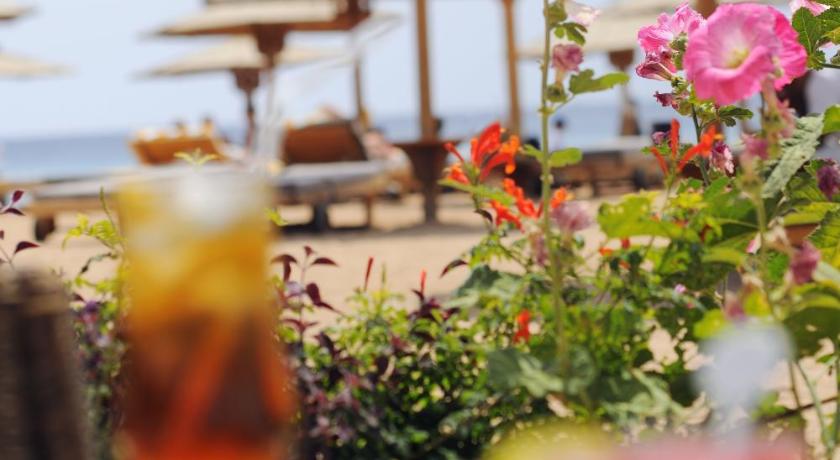 Naama Bay Promenade Beach Resort photo