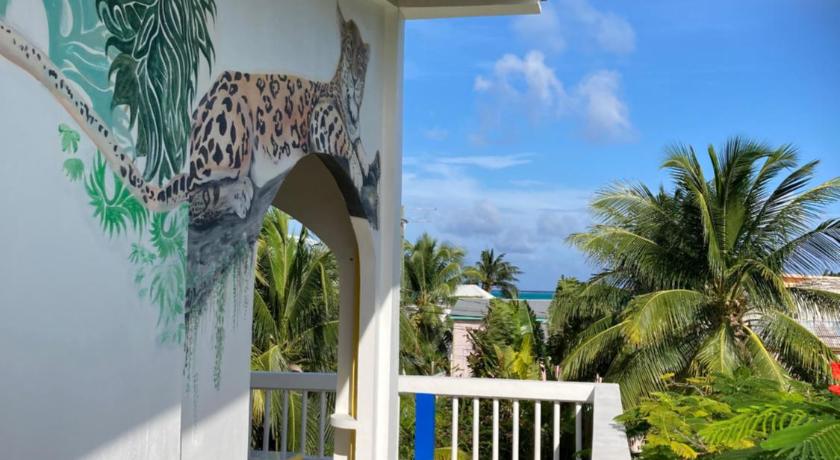 JAGUAR MORNING STAR photo