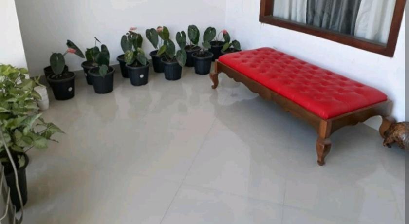 Hill-view Homestay photo
