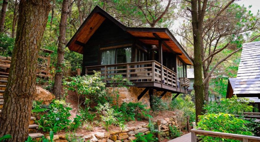 Amaya Retreat - image 22