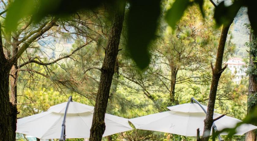 Amaya Retreat - image 17