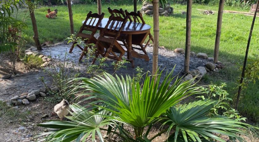 Tara guesthouse - Sauraha,Chitwan — Chitwan (4)