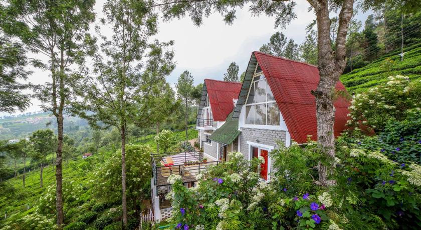 Chalet in Tea Gardens photo