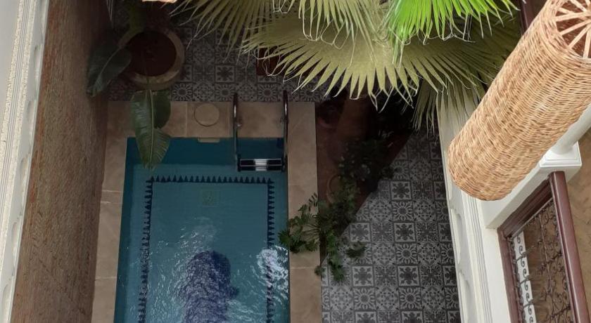Riad Safina photo