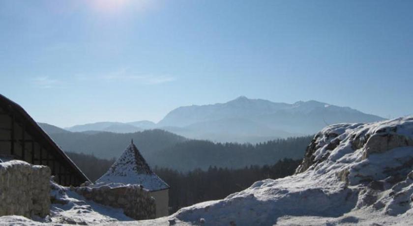 Pensiunea Rosenau photo