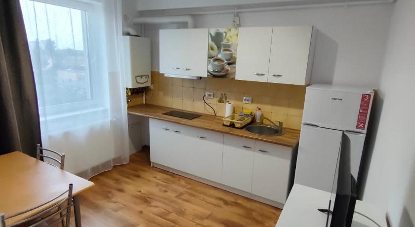 蒂米什瓦拉 Fanea Residence 3星级 酒店 泳池