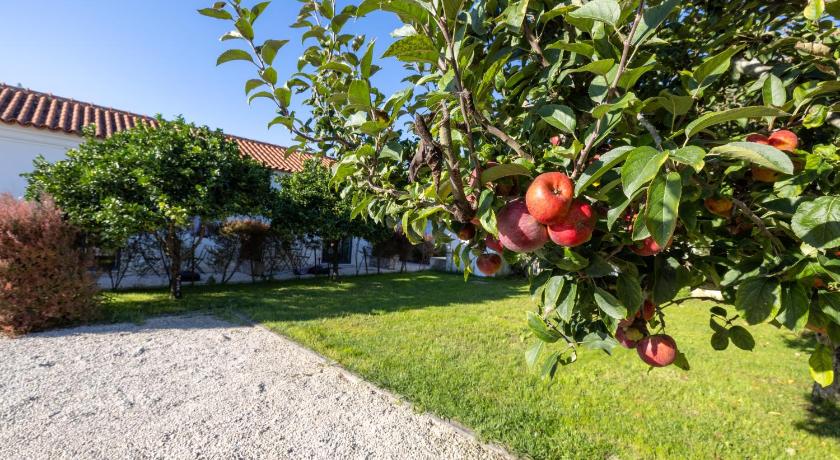 ミラ Casa Da Lagoa e Forja - Turismo Rural 5つ星 ゲストハウス スイート