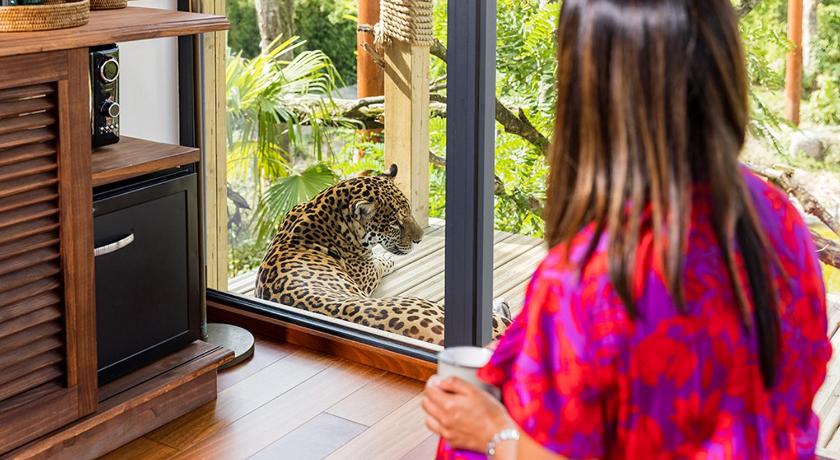 Parrot World - Les Lodges