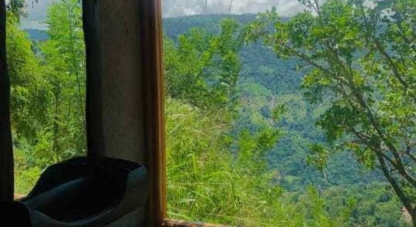 The Cliff Tea Glamping photo