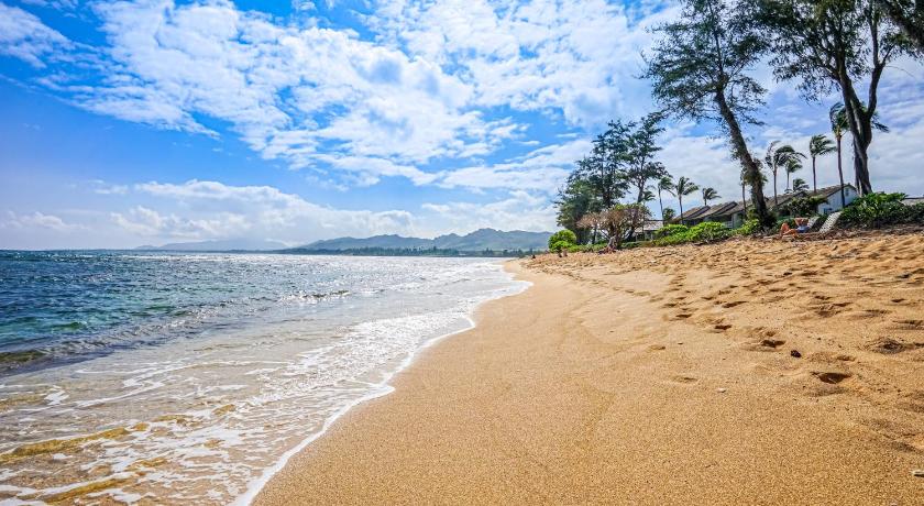 Islander on the Beach 101 photo