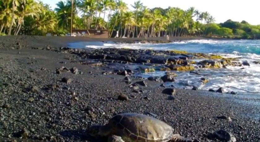 Kilauea iki- Hale Kumu La'au photo