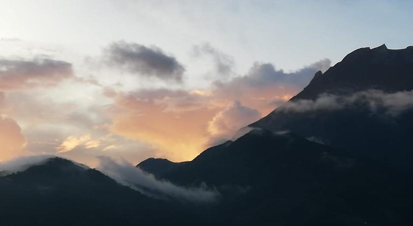 D'TERRACE KUNDASANG photo