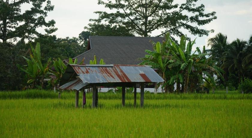 a wooden bench sitting in the middle of a grassy field, ก๋างโต้ง คอฟฟี่รีสอร์ท in Nan