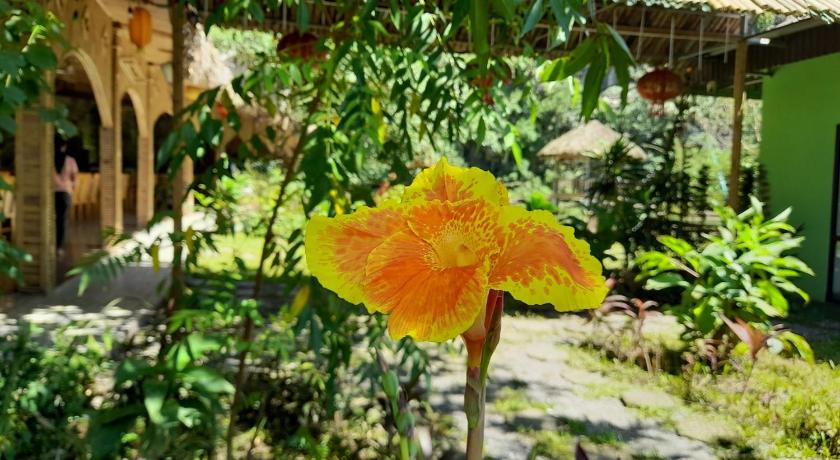 Green valley homestay photo