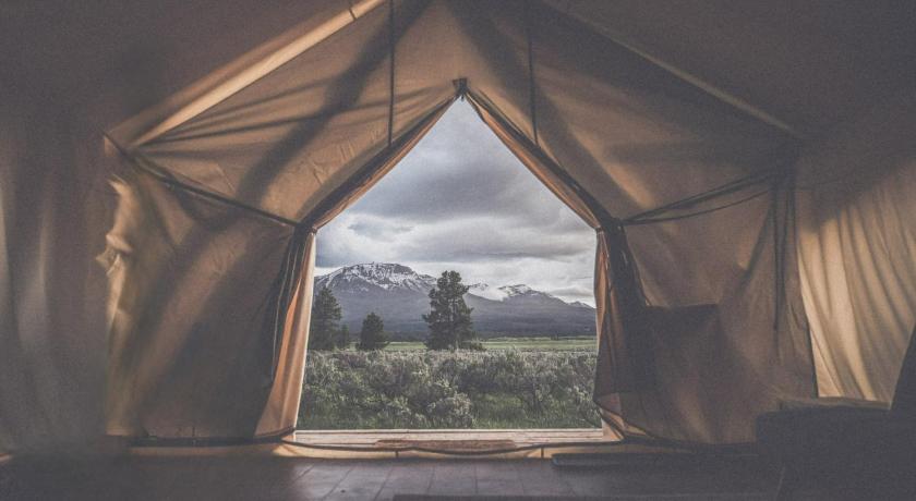 Tammah - Yellowstone photo