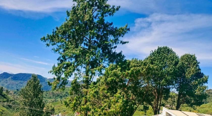 Nilgiris Inn By Lexstays Kotagiri, Ooty photo