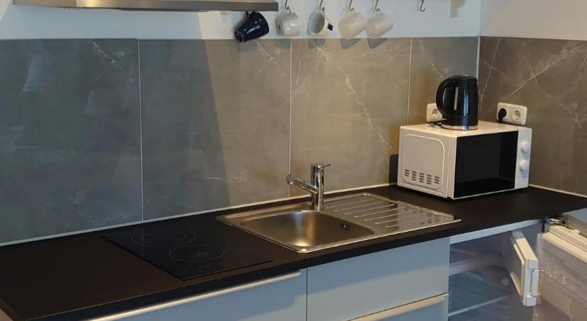 Maxim Apartments Mainz photo