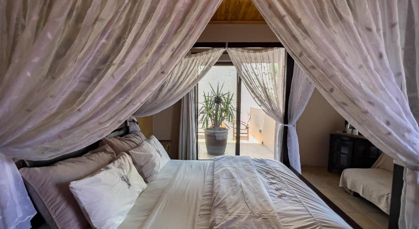 Chameleon Backpackers & Guesthouse photo
