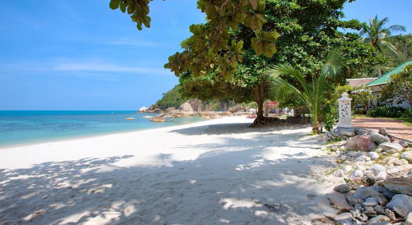 a beach with palm trees and palm trees, Crystal Bay Yacht Club Beach Resort in Koh Samui