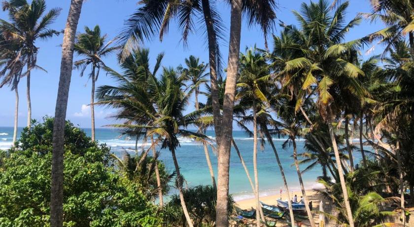 SunRay Rest - Beach View Homestay photo