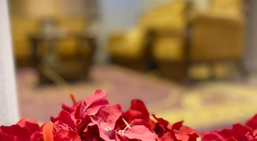 سويت روز العلا للشقق المفروشة sweet rose al ula organizing tours photo