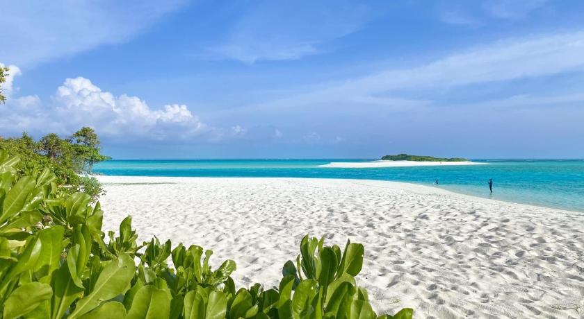 a beach with a blue sky and palm trees, Mathiveri Thundi Inn in Maldive Islands