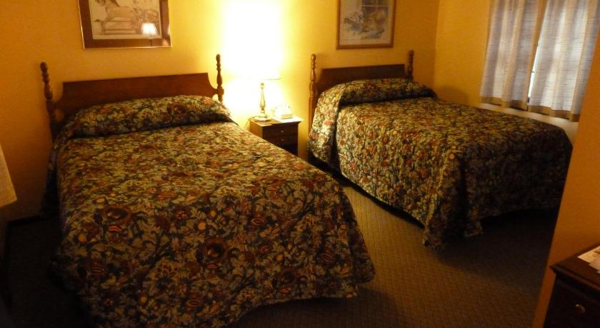 Viking Motel photo