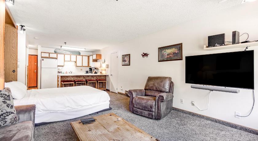 Snowblaze Condominiums E103 photo