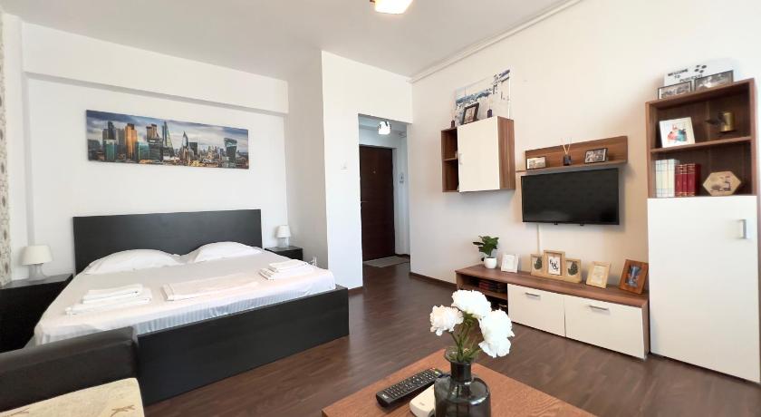 Mercur City Center Studio Ploiesti — Hotel in Ploiesti