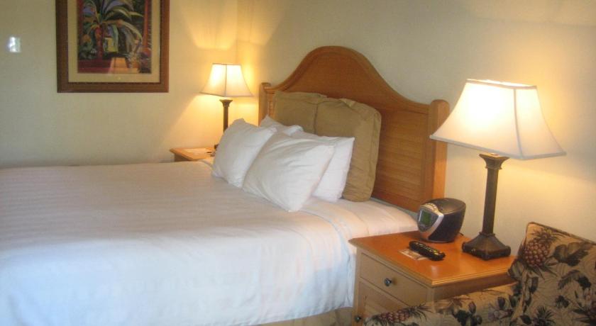 Image of King Room 5
