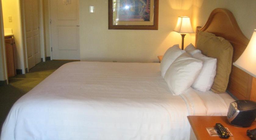Image of King Room 4
