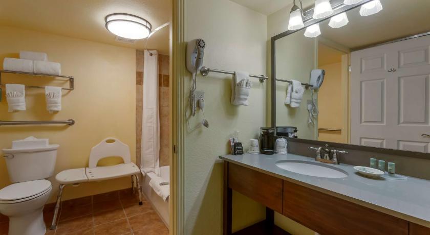 Image of Accessibility - 1 Queen, Bathtub, Nonsmoking 2