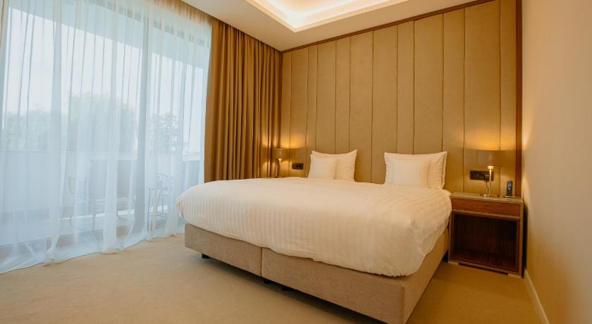 蒂米什瓦拉 Stein Collection Hotel 4星级 酒店 大堂