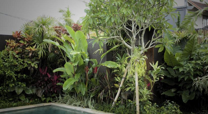 Dugul Ubud photo