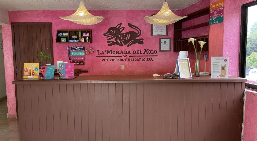 La Morada del Xolo Pet Friendly photo