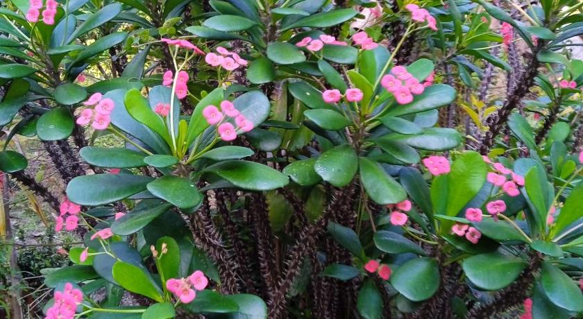 cabana las rosas photo