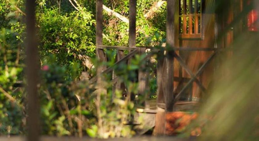 a small hut in the middle of a forest, Sepilok Nature Resort in Sandakan