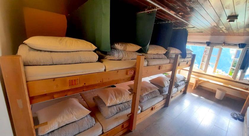 Image of Single Bed in Female Dormitory Room 4
