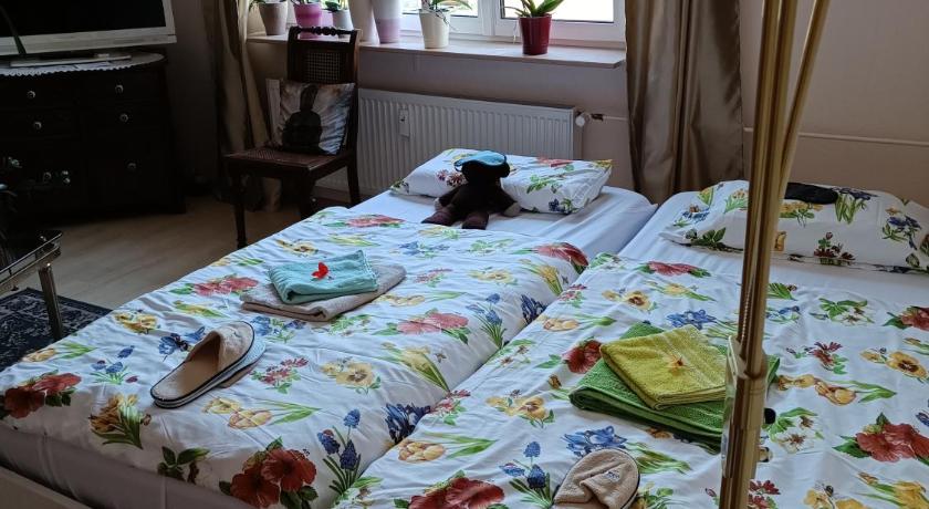 Schones Privatzimmer LGBTQ freundlich bei Gastgeber photo