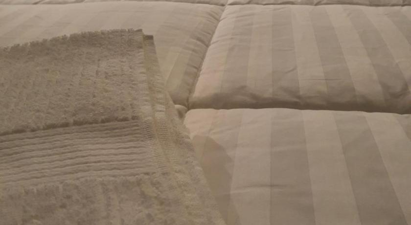 Image of Deluxe Room With 1 Double Bed 16