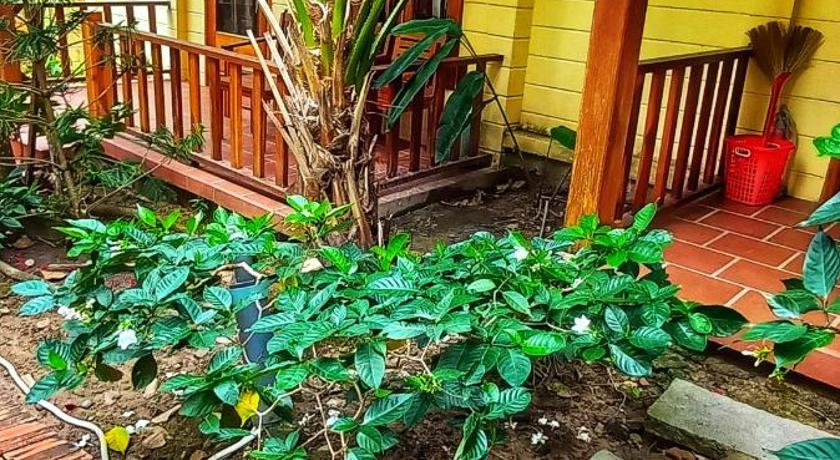Image of Bungalow with Garden View 5