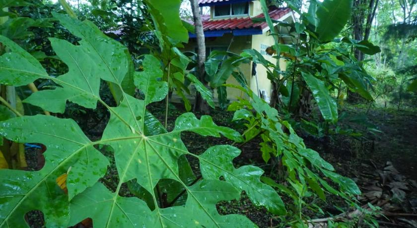บ้านกู โฮมสเตย์ Baangu Homestay photo