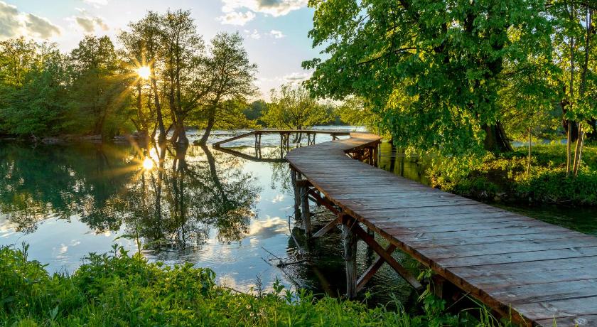 Holiday Homes Pozitiva photo