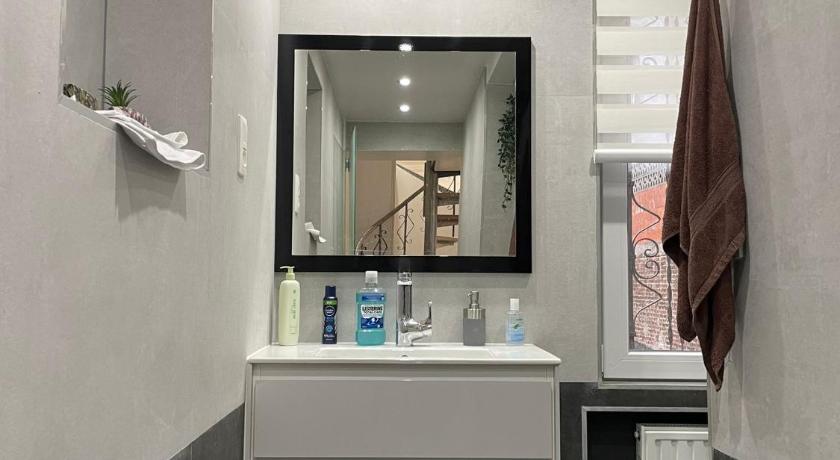 Duplex elegant a 2min de la gare du nord - image 11