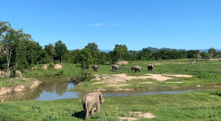 华欣 / 七岩 I love phants Lodge 3星级 酒店 客房
