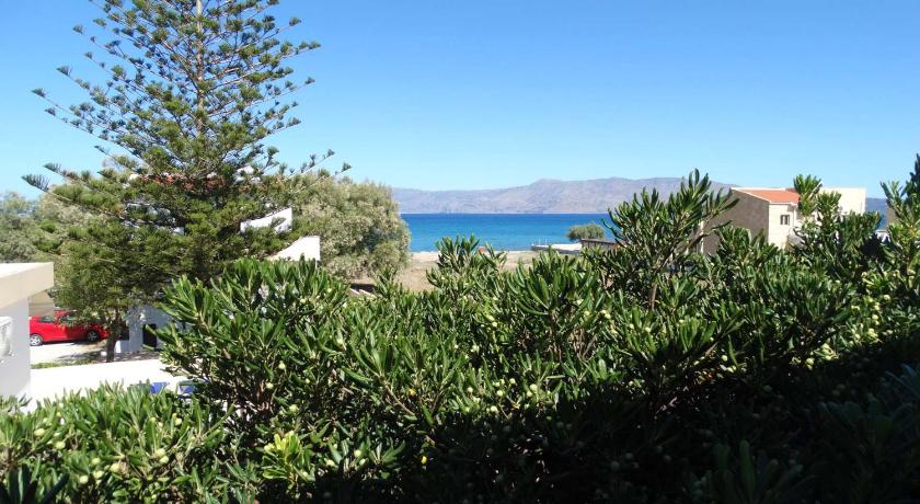 Captain's Beach Apartments photo