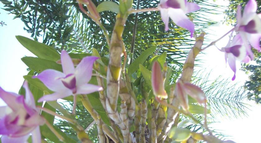 ジェルバ・ブエナ A Alquiler temporario Arrullo de Luna 3つ星 ホテル 眺望